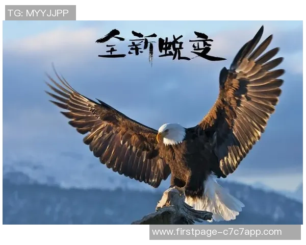 史鸿飞的传奇人生与奋斗历程探秘：从平凡到卓越的蜕变之路